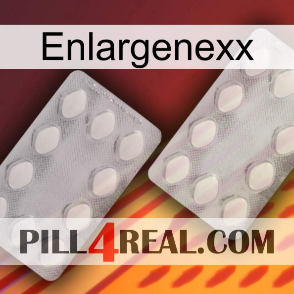 Enlargenexx 17.jpg